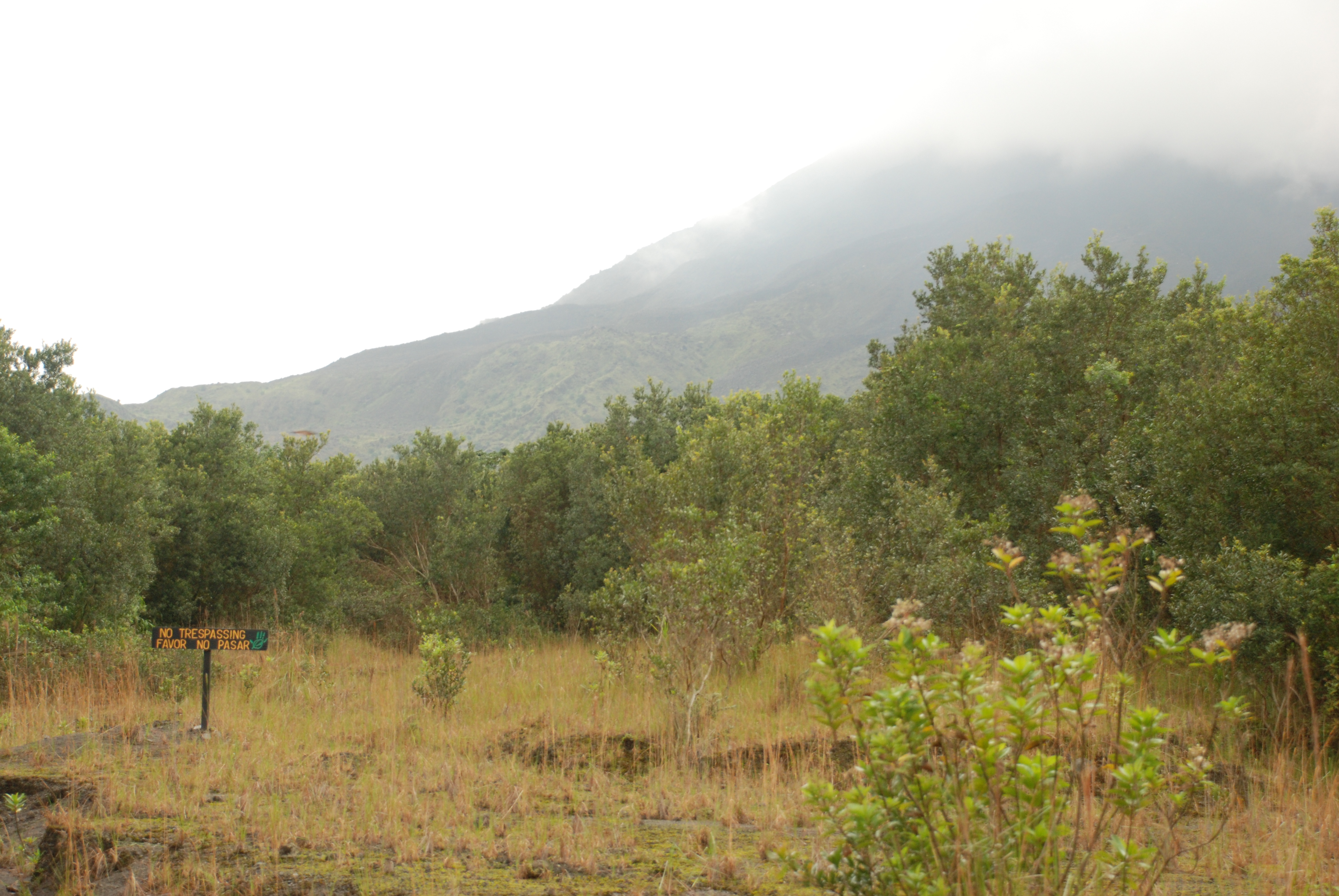 Arenal Volcano 117.JPG