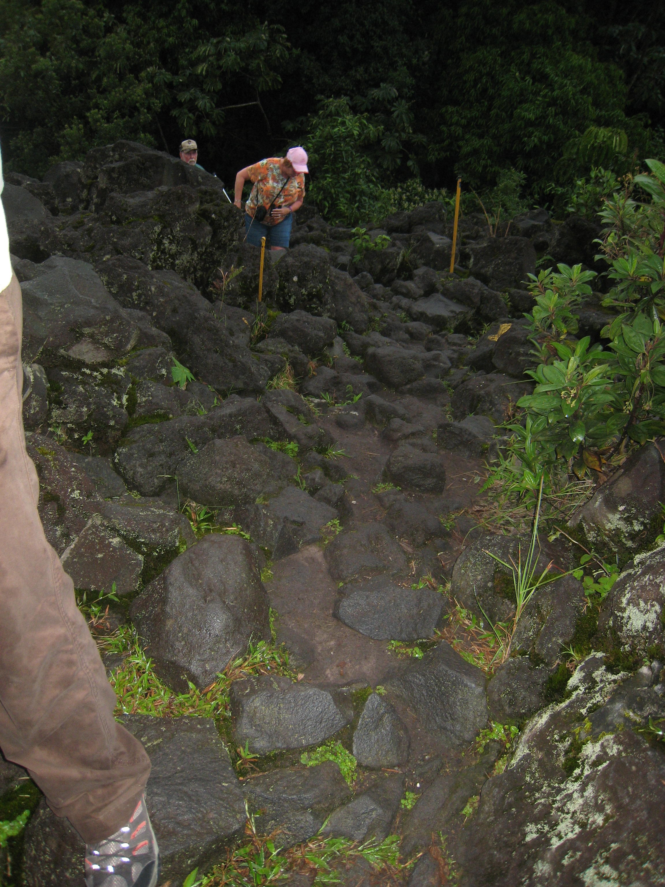 Arenal Volcano 120.jpg