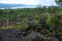 Arenal Volcano 138.JPG