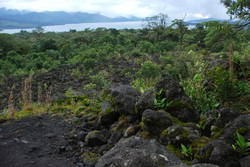 Arenal Volcano 139.JPG