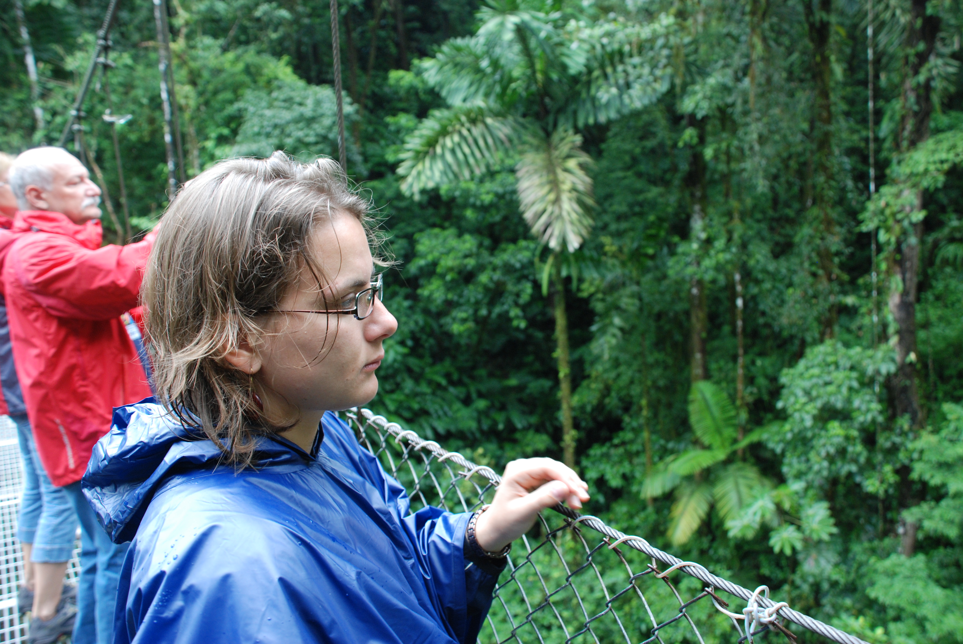 Rainforest Tour 162.JPG