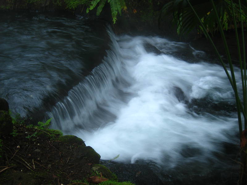 Tabacon Hot Springs 133.jpg