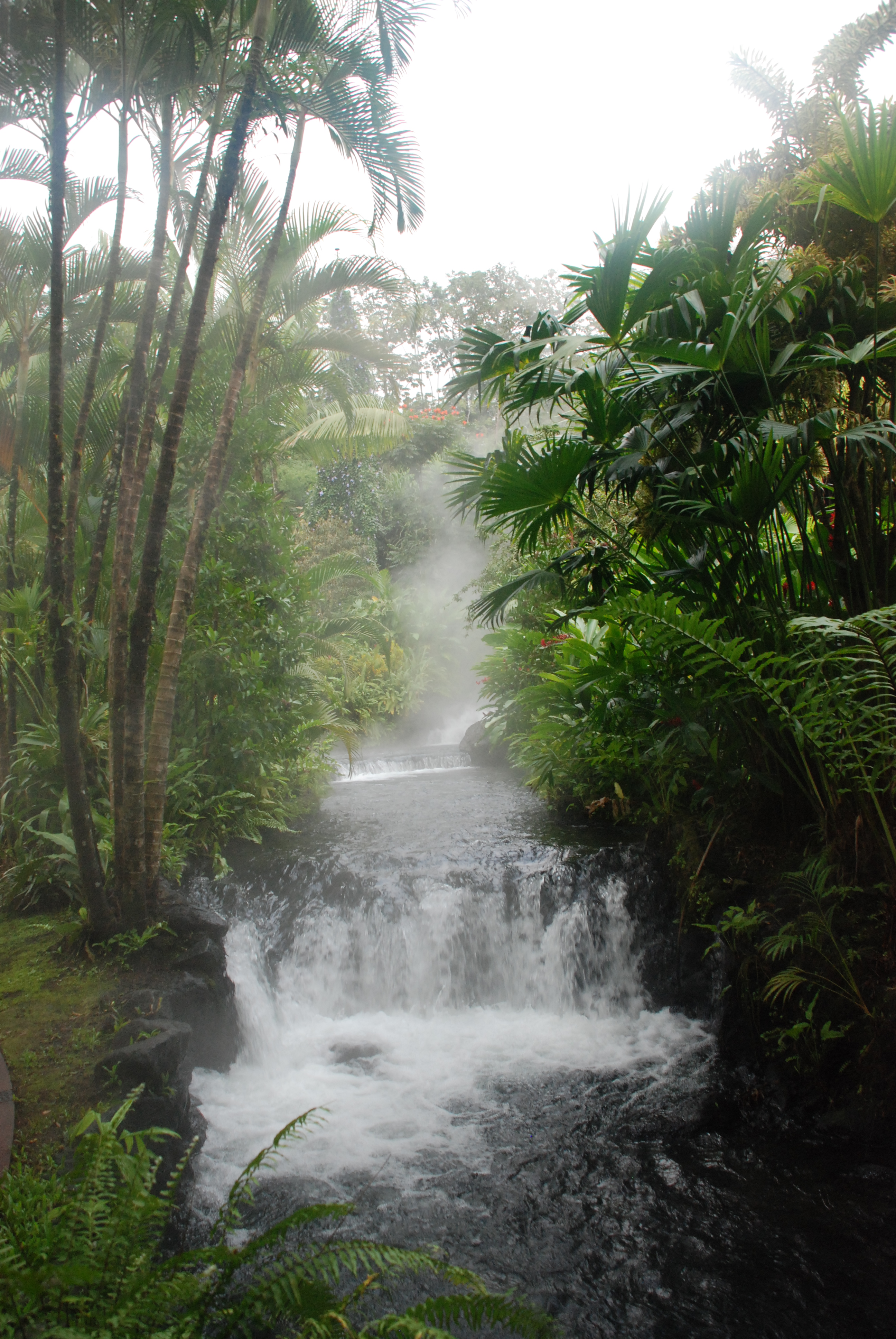 Tabacon Hot Springs 142.JPG