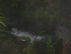 Tabacon Hot Springs 146.jpg