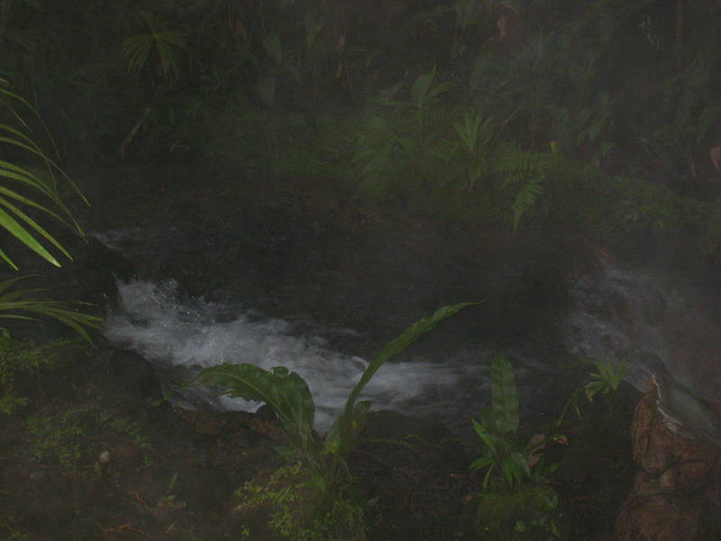 Tabacon Hot Springs 146.jpg